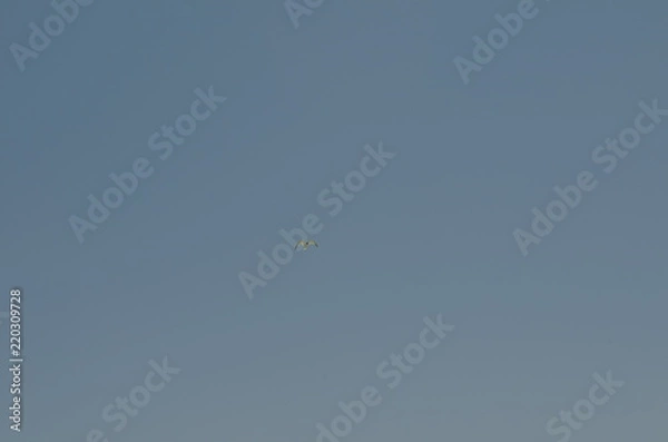 Fototapeta Marsa Matrouh