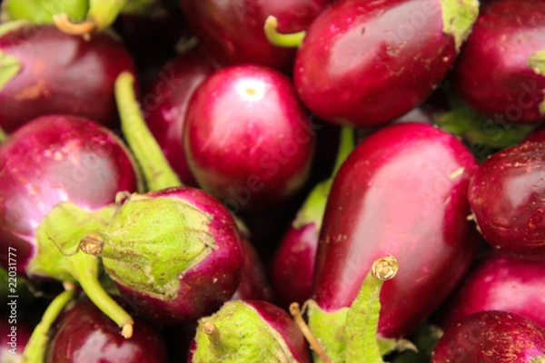 Fototapeta Aubergine