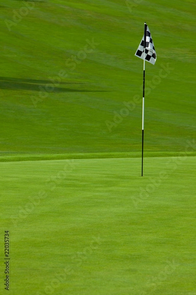 Obraz Smooth golf putting green with flag