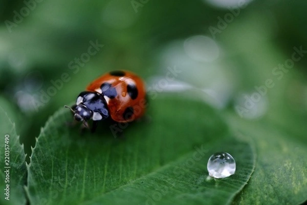 Obraz Was für ein Blick