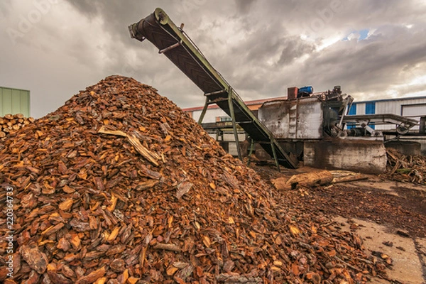 Fototapeta Outdoor pallet recycling sawmill plant for pellet processing using machinery