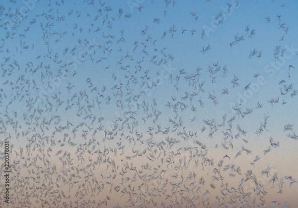 Obraz Frosty pattern at a window.