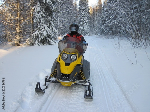 Obraz Snowmobile