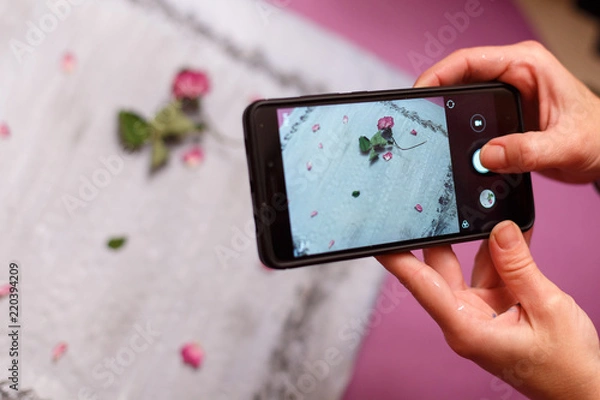 Obraz On the foreground, hands hold a phone and photograph a still-life from a flower lying on a gray photophone. Pink and purple colors.
