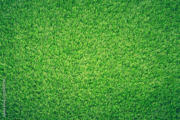 Obraz Green Grass Texture