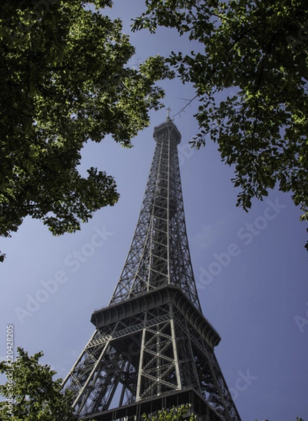 Fototapeta Torre Eiffel