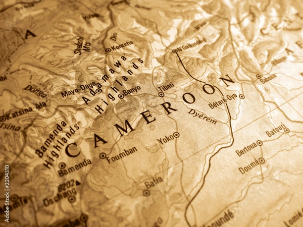 Obraz cameroon