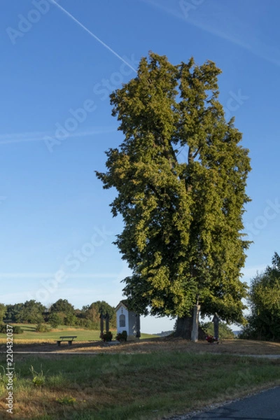 Obraz small chapel under a natural monument