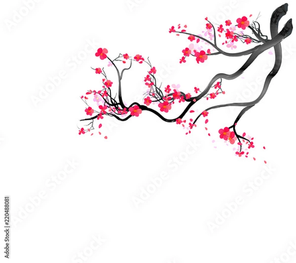 Fototapeta Watercolor sakura frame. Background with blossom cherry tree branches. Hand drawn japanese flowers background