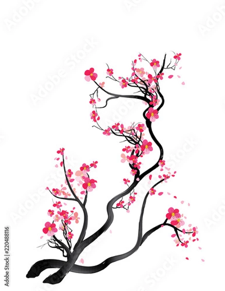 Fototapeta Watercolor sakura frame. Background with blossom cherry tree branches. Hand drawn japanese flowers background