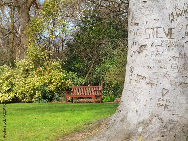 Obraz Lovers Initials Carved into Tree Bark