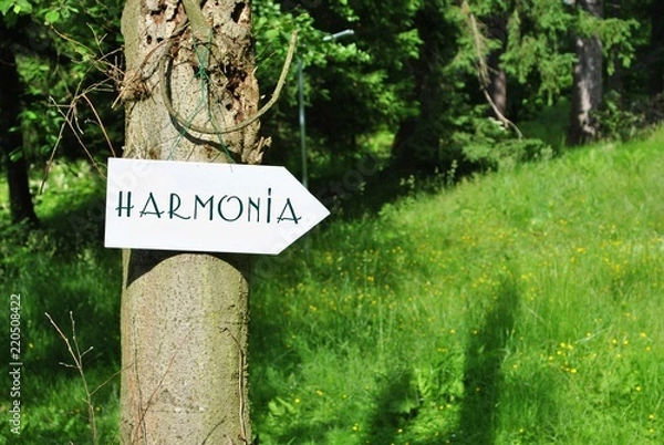 Fototapeta Harmonia