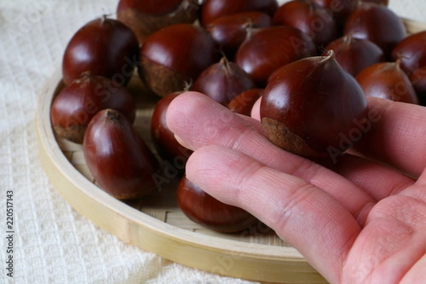 Fototapeta 秋の味覚　栗