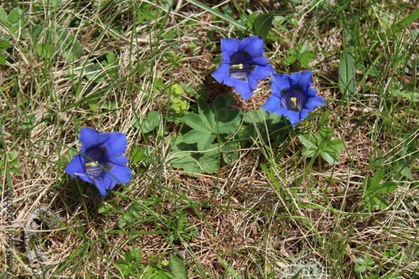 Obraz Gebirge