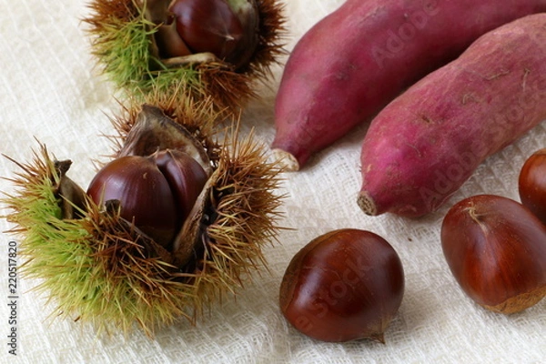 Fototapeta 秋の味覚　栗　さつまいも