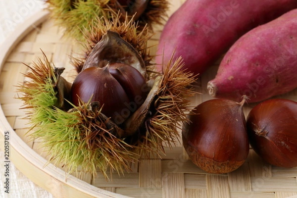 Fototapeta 秋の味覚　栗　さつまいも
