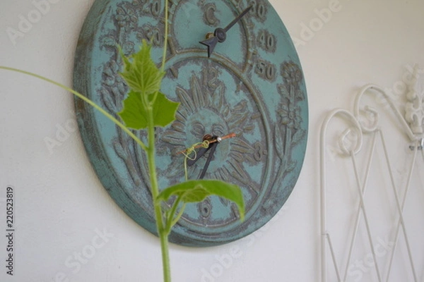 Obraz Gurkenranke hält Zeiger einer Uhr fest