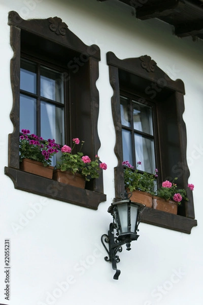 Obraz Windows