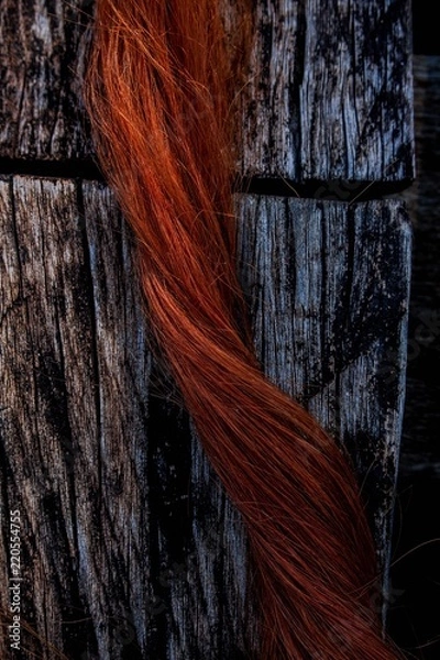 Fototapeta Ginger wick