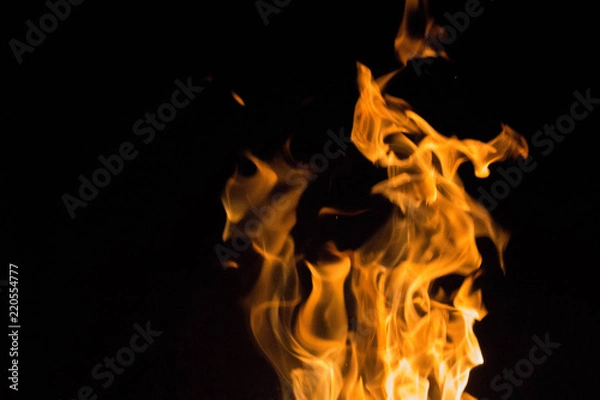 Fototapeta fire skull