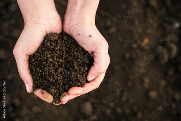 Obraz Soil, cultivated dirt.