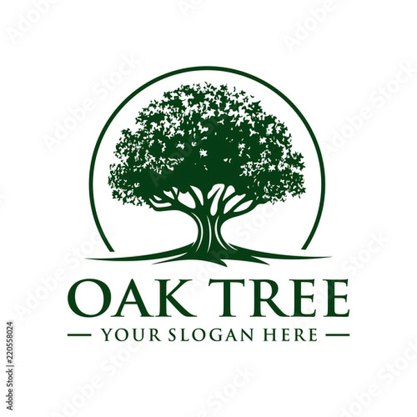 Obraz Oak Tree Logo