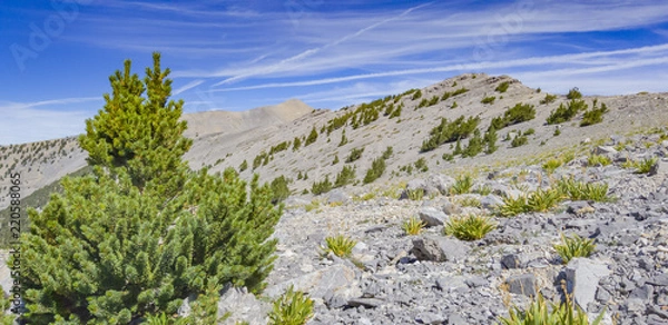 Obraz Desert Mountain Terrain