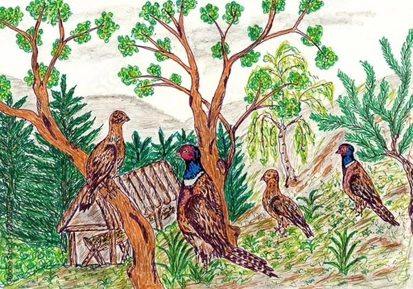 Fototapeta Hand drawn multicolor illustration with nature theme (pheasants in nature) - scan