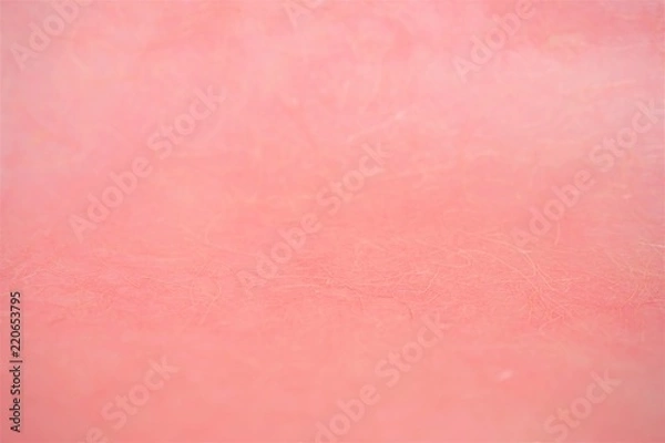 Obraz 和紙　桃色