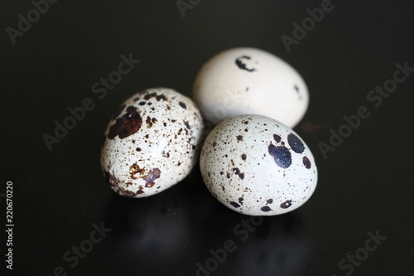 Obraz quail eggs