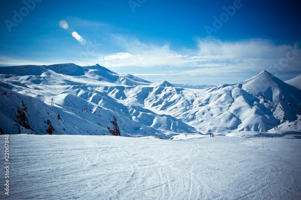 Fototapeta Solar hare