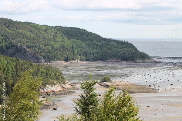 Fototapeta Rive du Bas-Saint Laurent.