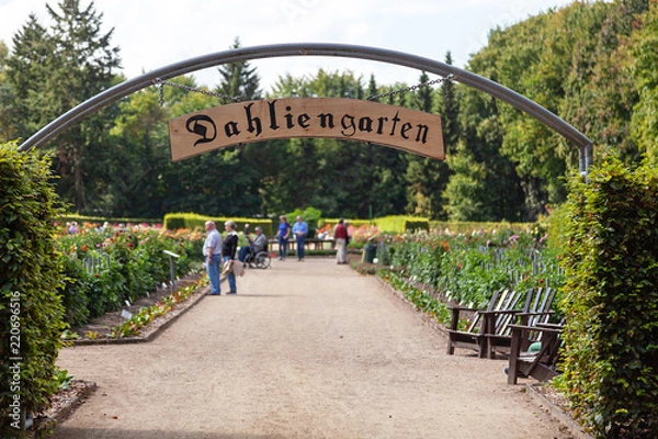 Obraz Dahliengarten Hamburg