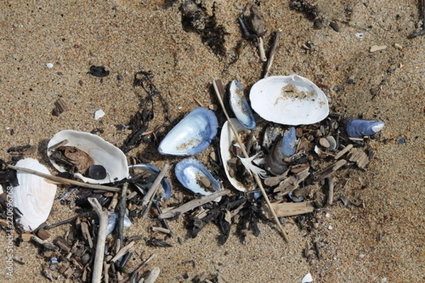 Fototapeta Plages...