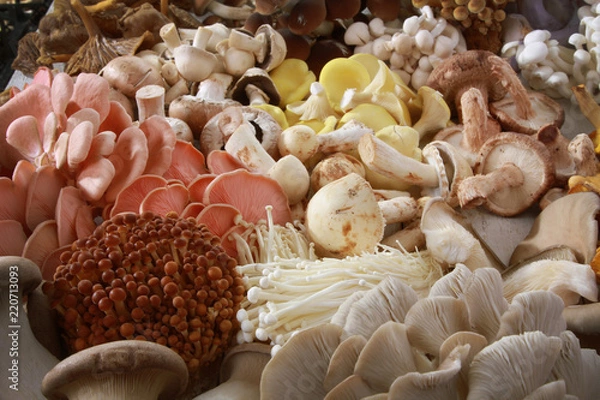Fototapeta Świeże, niegotowane, egzotyczne odmiany grzybów