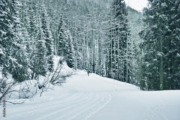 Obraz snowy path 3 of 9