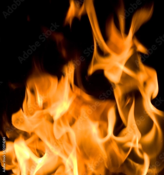 Obraz Flames of Fire