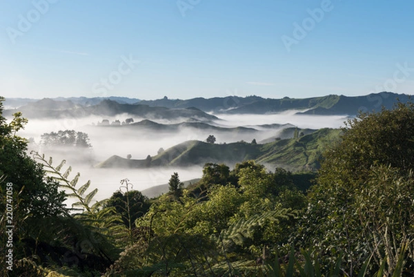 Fototapeta Landscape from the Tahora Saddle in Taranaki, New Zealand, at dawn showing the green hilly farmland, trees and mist in the valleys.