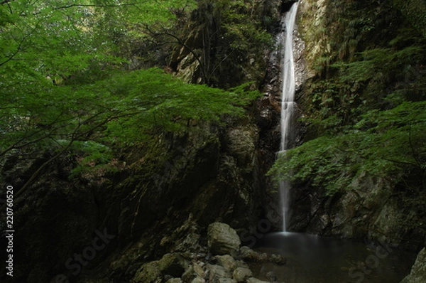 Fototapeta 日本の滝_兵庫県_独鈷の滝