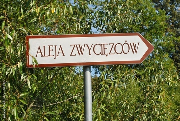 Obraz Aleja zwycięzców