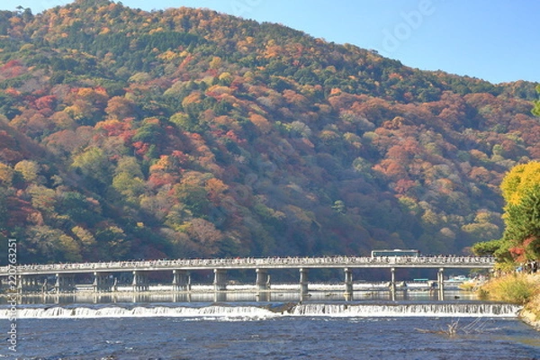 Fototapeta 京都・渡月橋の紅葉