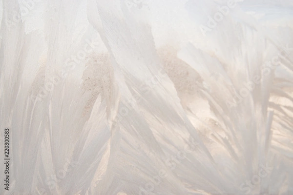 Fototapeta Eisblumen weiß 