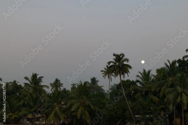 Fototapeta Aleppey boat ride view with full moon