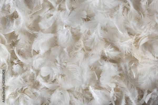 Obraz Cracked egg yolk composition