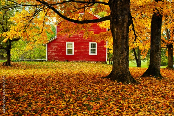 Obraz Autumn in Vermont