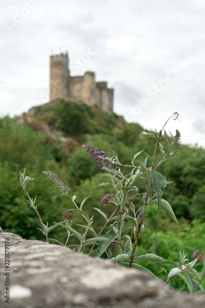 Obraz Medieval castle in Najac, France