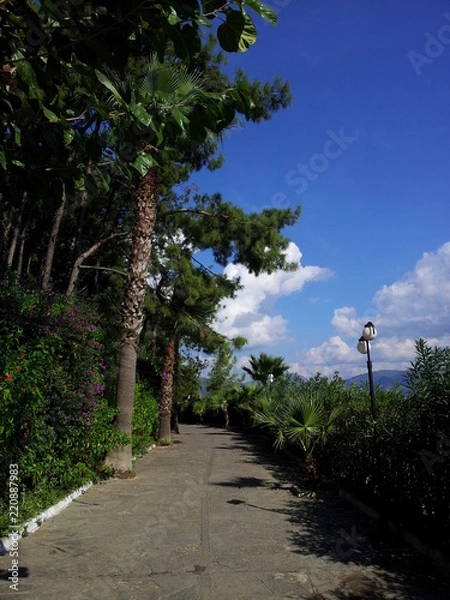 Obraz turkey holiday