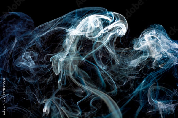 Obraz Smoky head of a predator black background