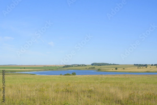 Fototapeta field of ripe cereals