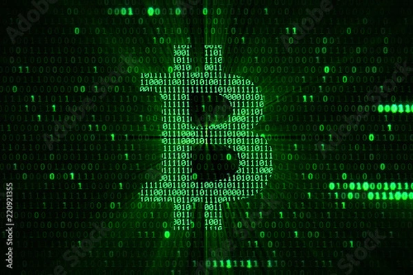 Obraz virtual green bitcoin symbol crypto digital currency on green matrix background, new business financial risk concept